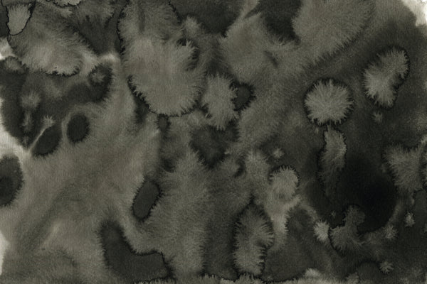 Lichen
