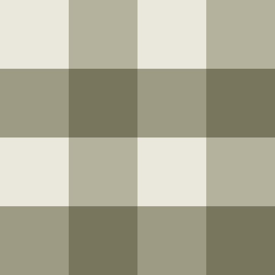 Checked Pattern Olive