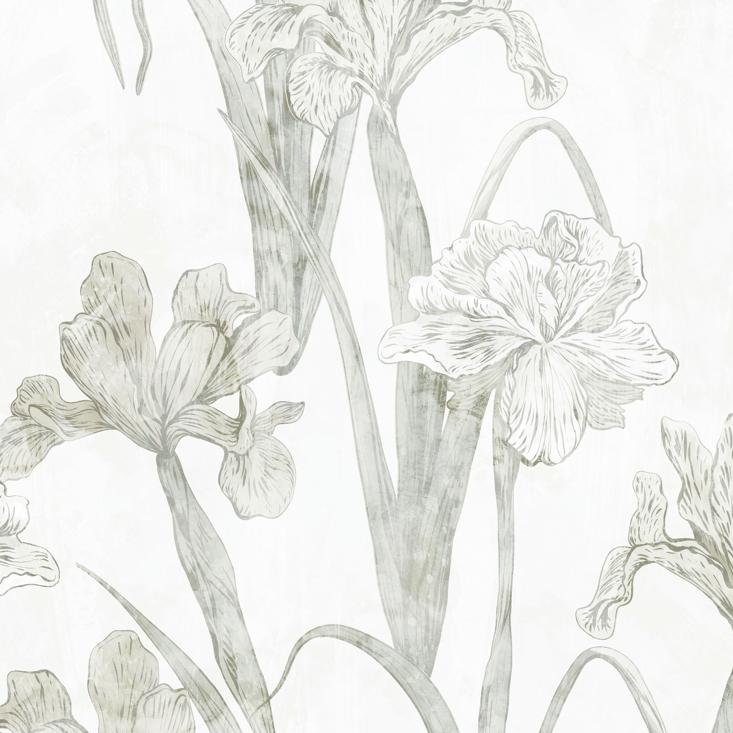 Bright Irises-PAMPA Wallcoverings