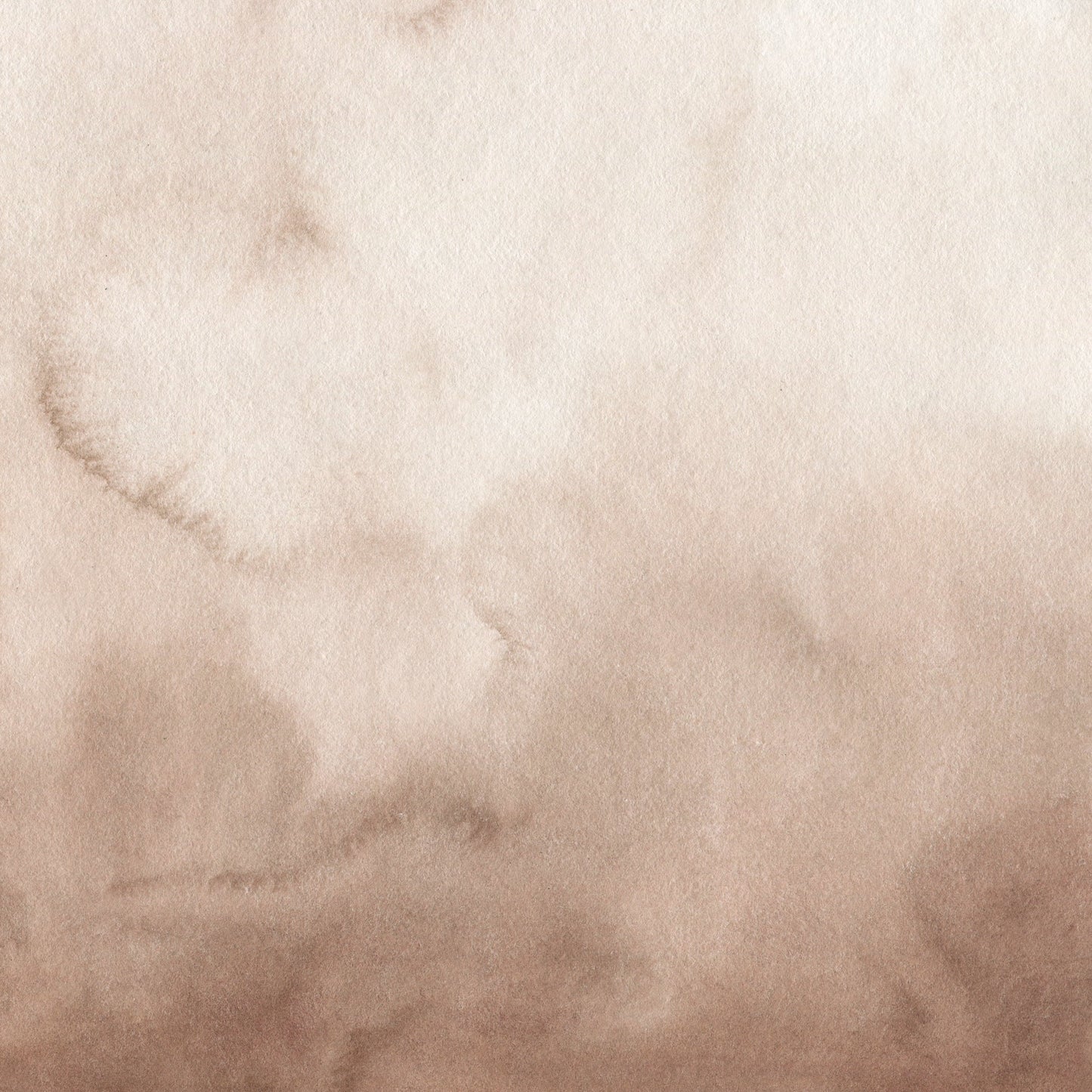 Modern Oasis Sepia - Murals Collection-PAMPA Wallcoverings