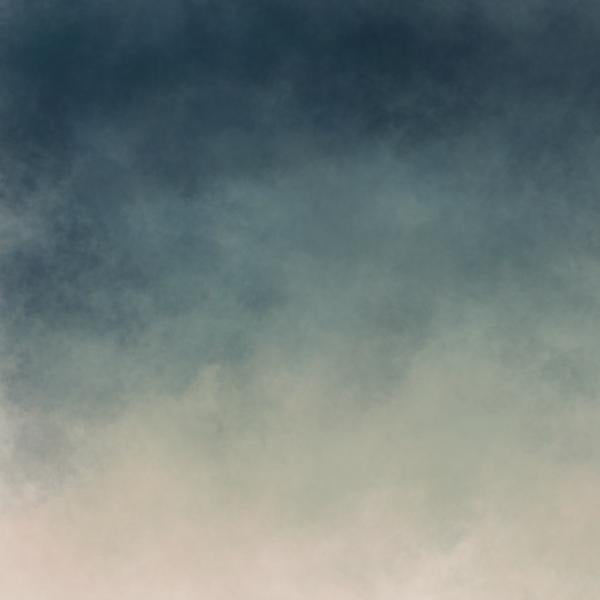 Moody Room Mural-PAMPA Wallcoverings