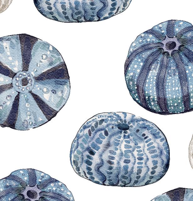 Sea Urchins-PAMPA Wallcoverings