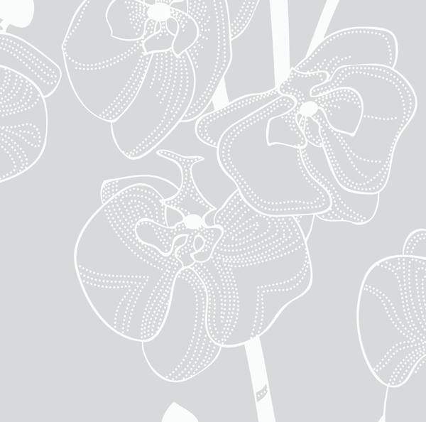 Orchids wallpaper sample, close-up of orchid floral detail