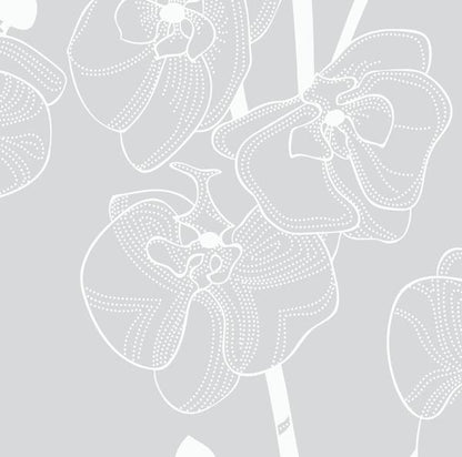 Orchids wallpaper sample, close-up of orchid floral detail