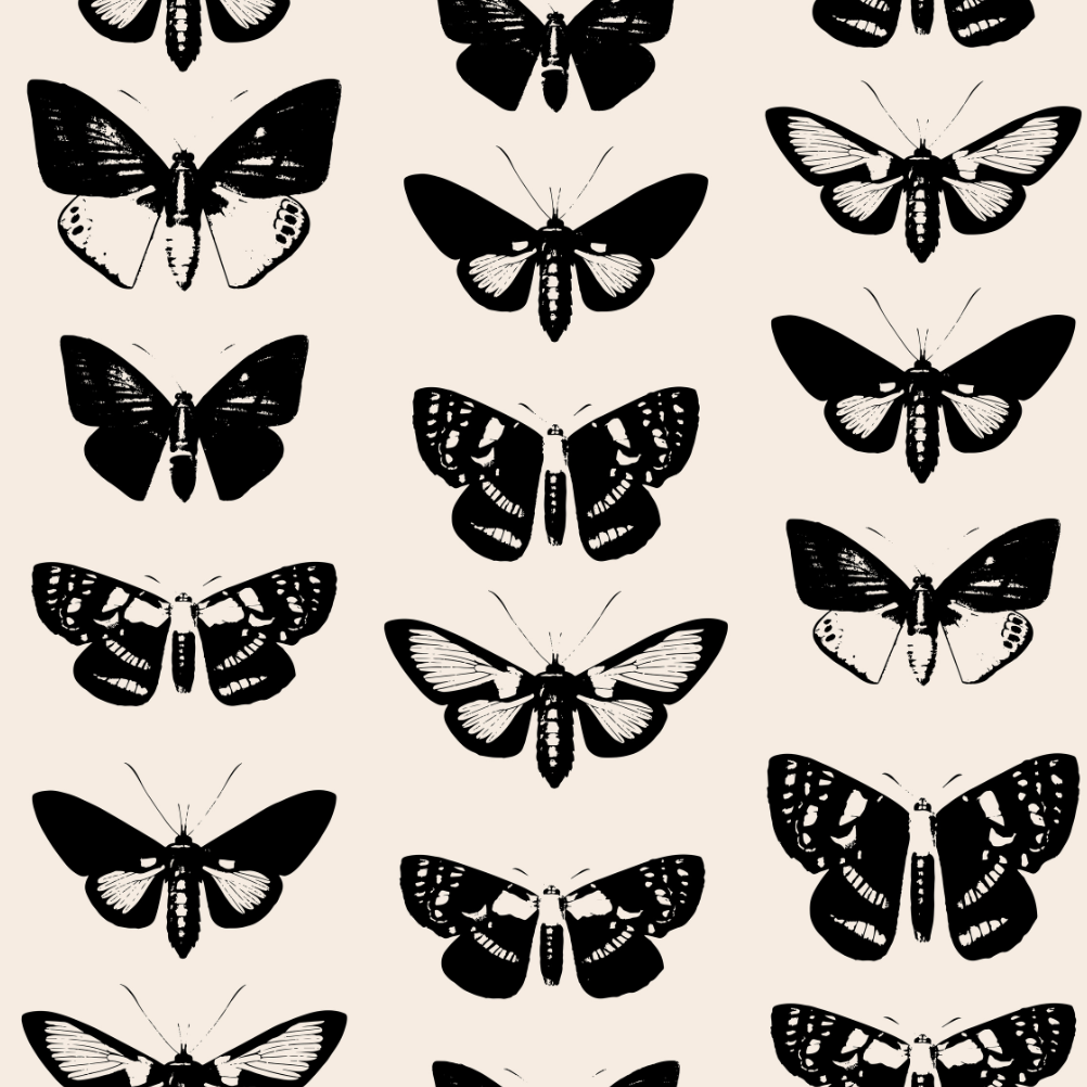 Black Butterflies