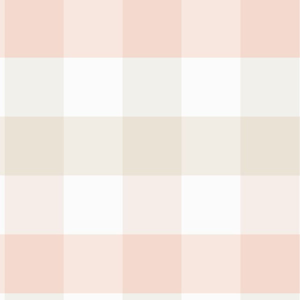 Checked Pattern Blush and Green classic gingham wallpaper in blush and sage