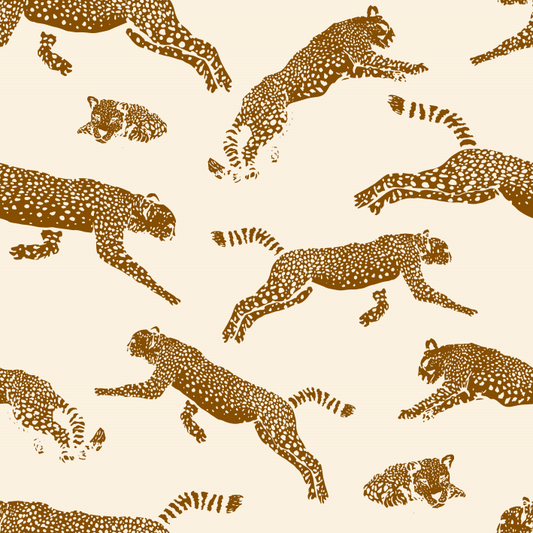 Leopards