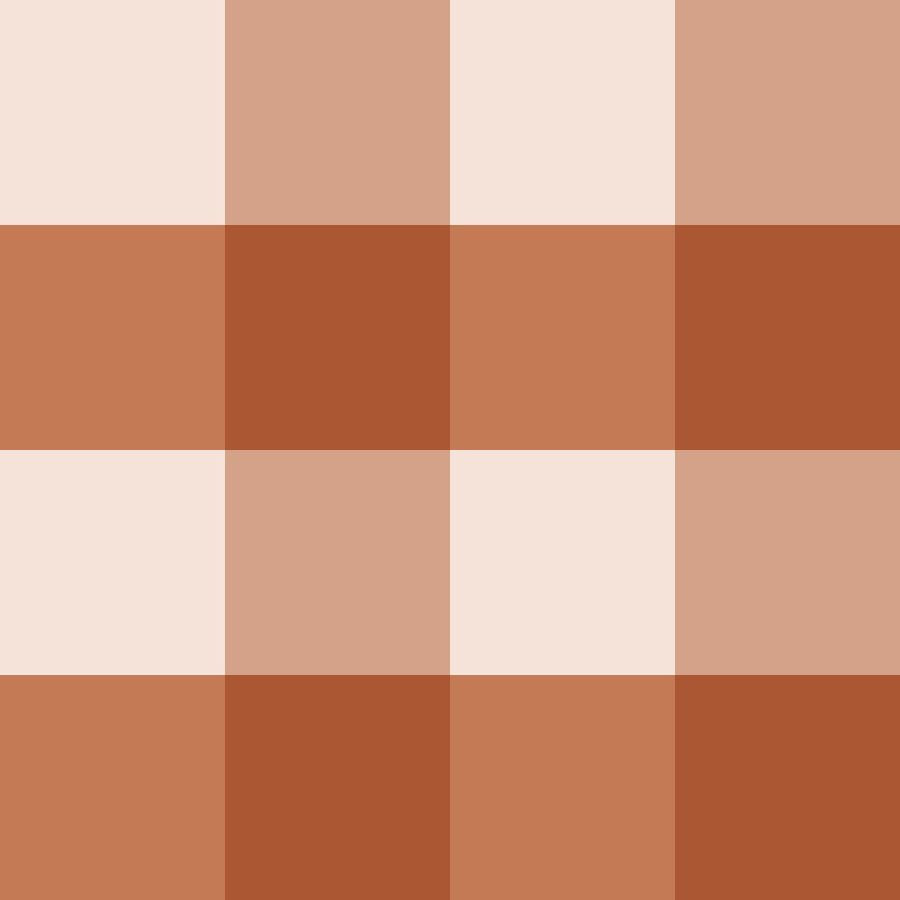 Checked Pattern Terracota