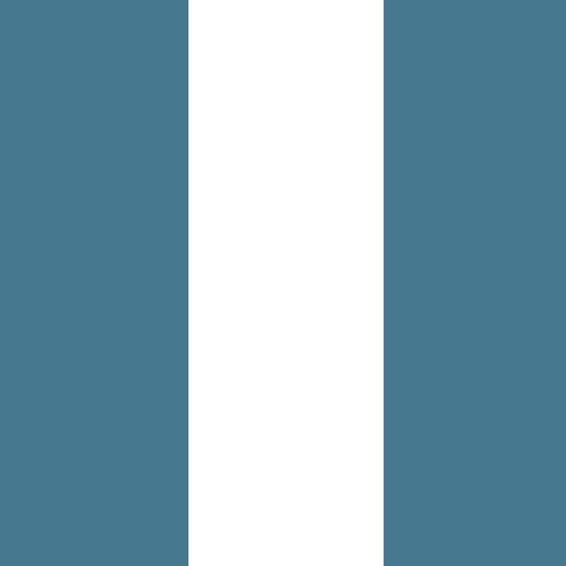 Extra-Wide Stripe Wallpaper – Cloud & Steel Blue – wallpaper pattern detail
