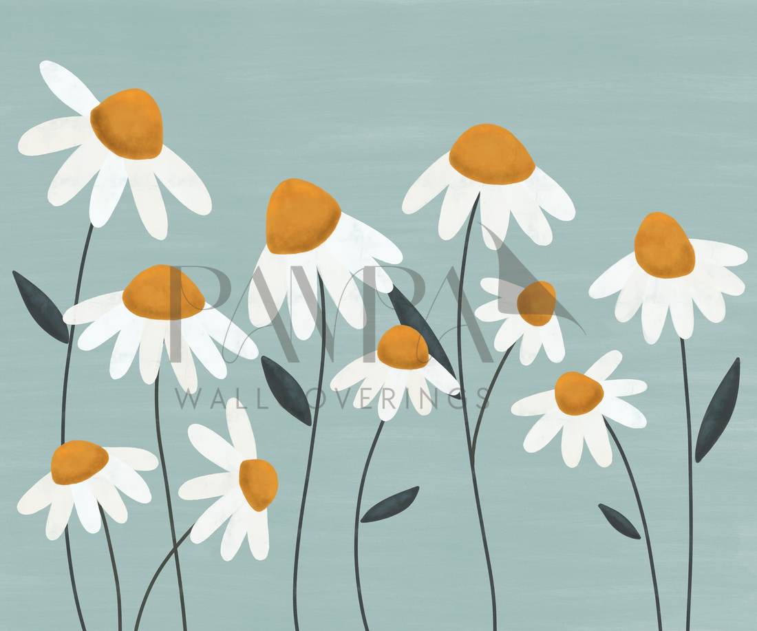 Daisy Vale wall mural design, oversized white daisies with golden centres on soft sage-aqua