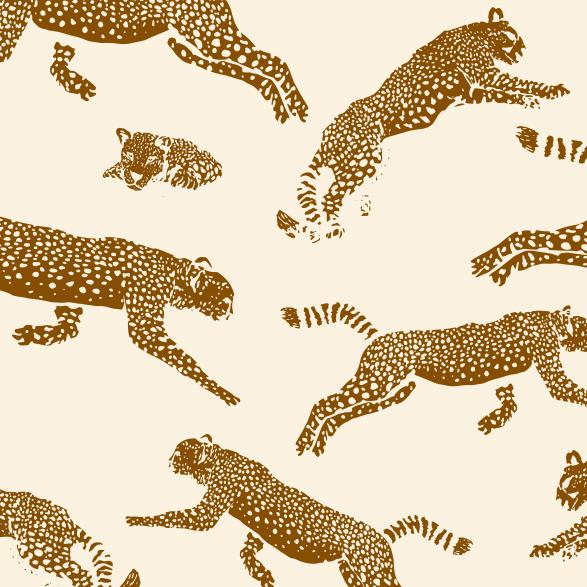 Leopards-PAMPA Wallcoverings
