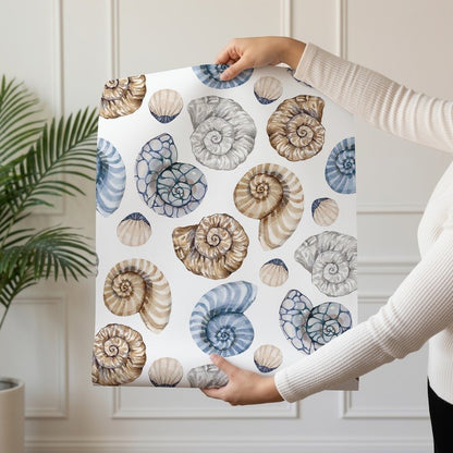 Sea Snails coastal sea snail wallpaper shown on a single wallpaper drop