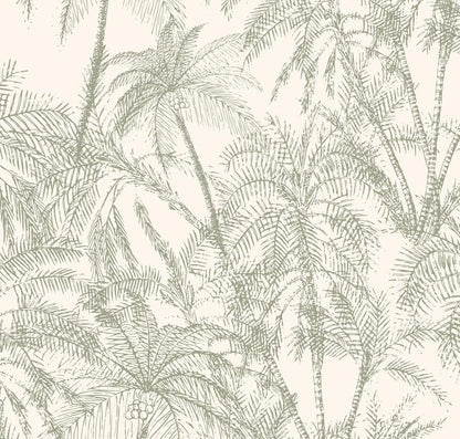 Subtle Green Palms-PAMPA Wallcoverings