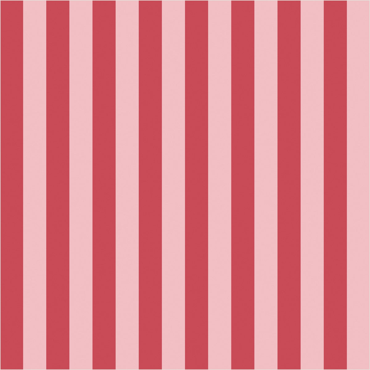 Cherry Red & Powder Pink thin stripe wallpaper, true-scale 62 cm swatch