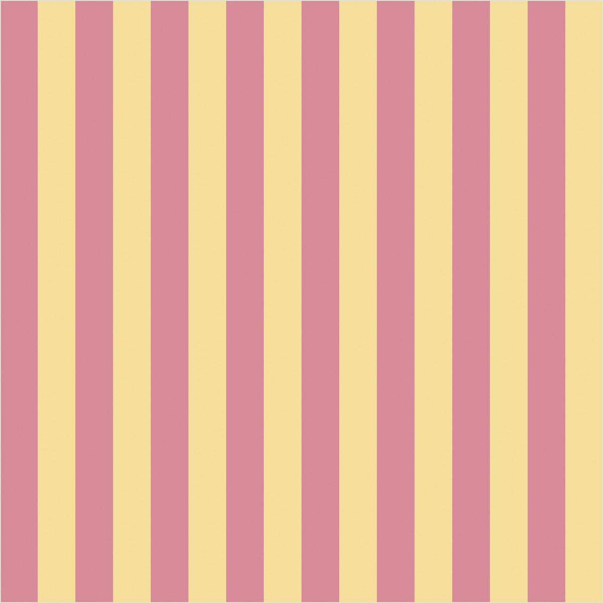 Dusty Rose & Buttercream thin stripe wallpaper, true-scale 62 cm swatch