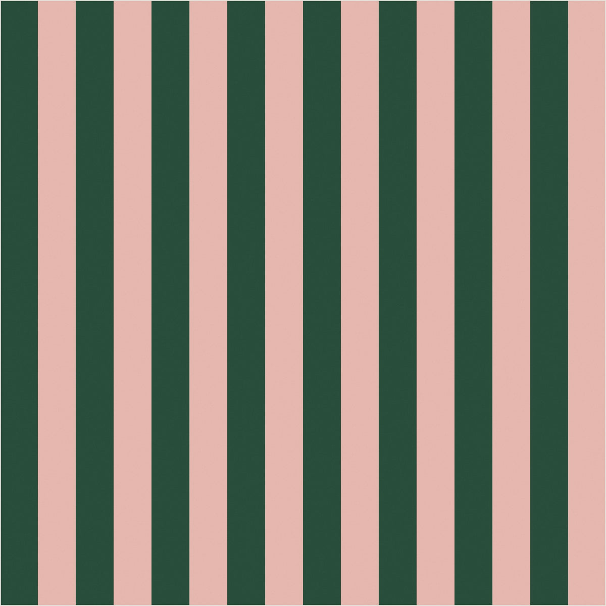 Warm Blush & Forest Green thin stripe wallpaper, true-scale 62 cm swatch