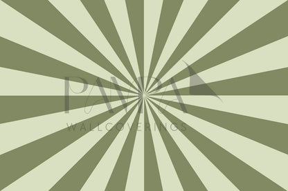 Up in the Sky Muted Olive & Pistachio ceiling mural design, sunburst rays in muted olive and pistachio