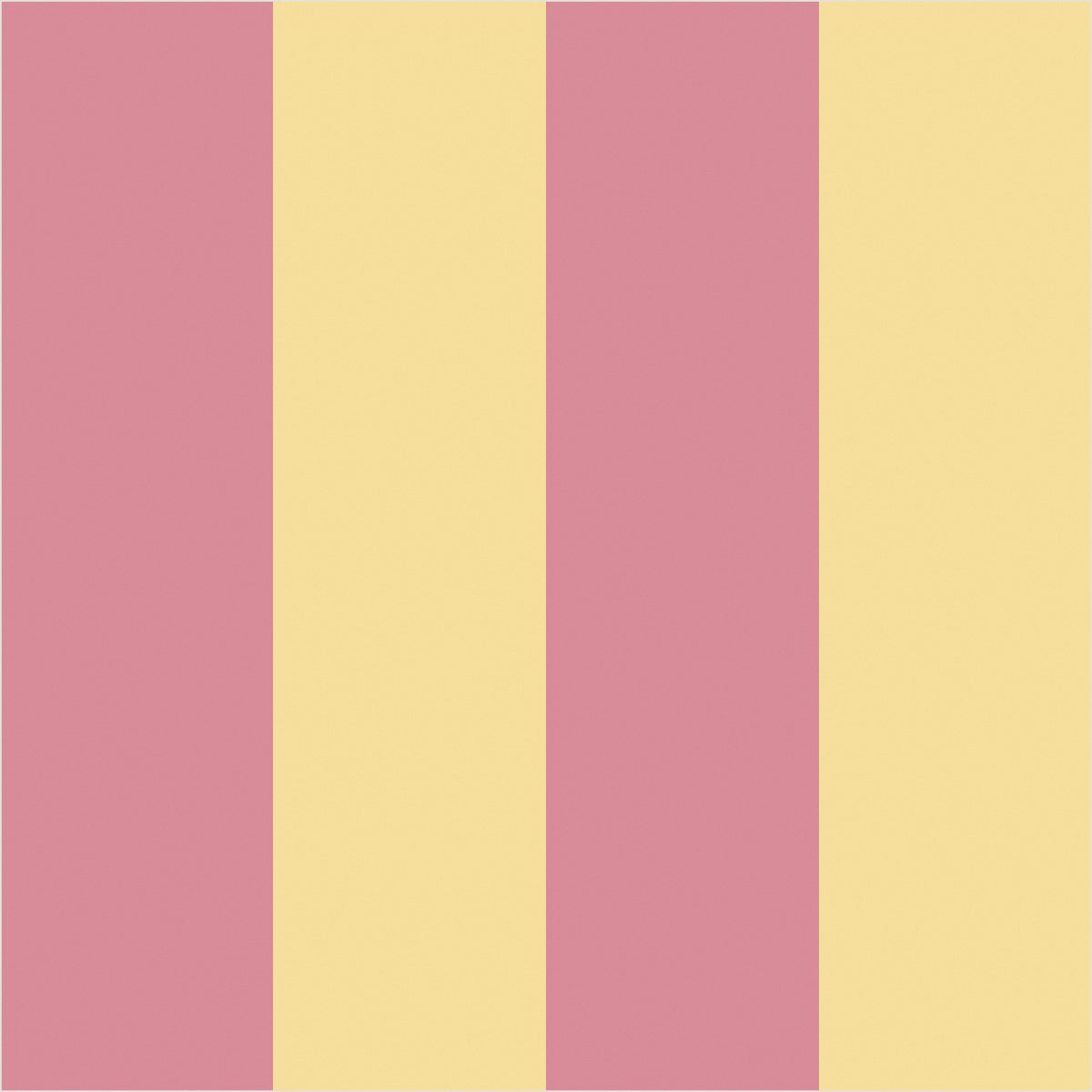 Dusty Rose & Buttercream wide stripe wallpaper, true-scale 62 cm swatch