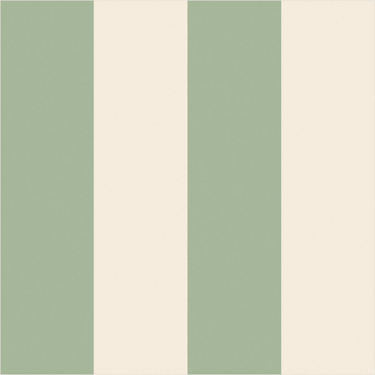 Gentle Sage & Warm Ivory wide stripe wallpaper, true-scale 62 cm swatch