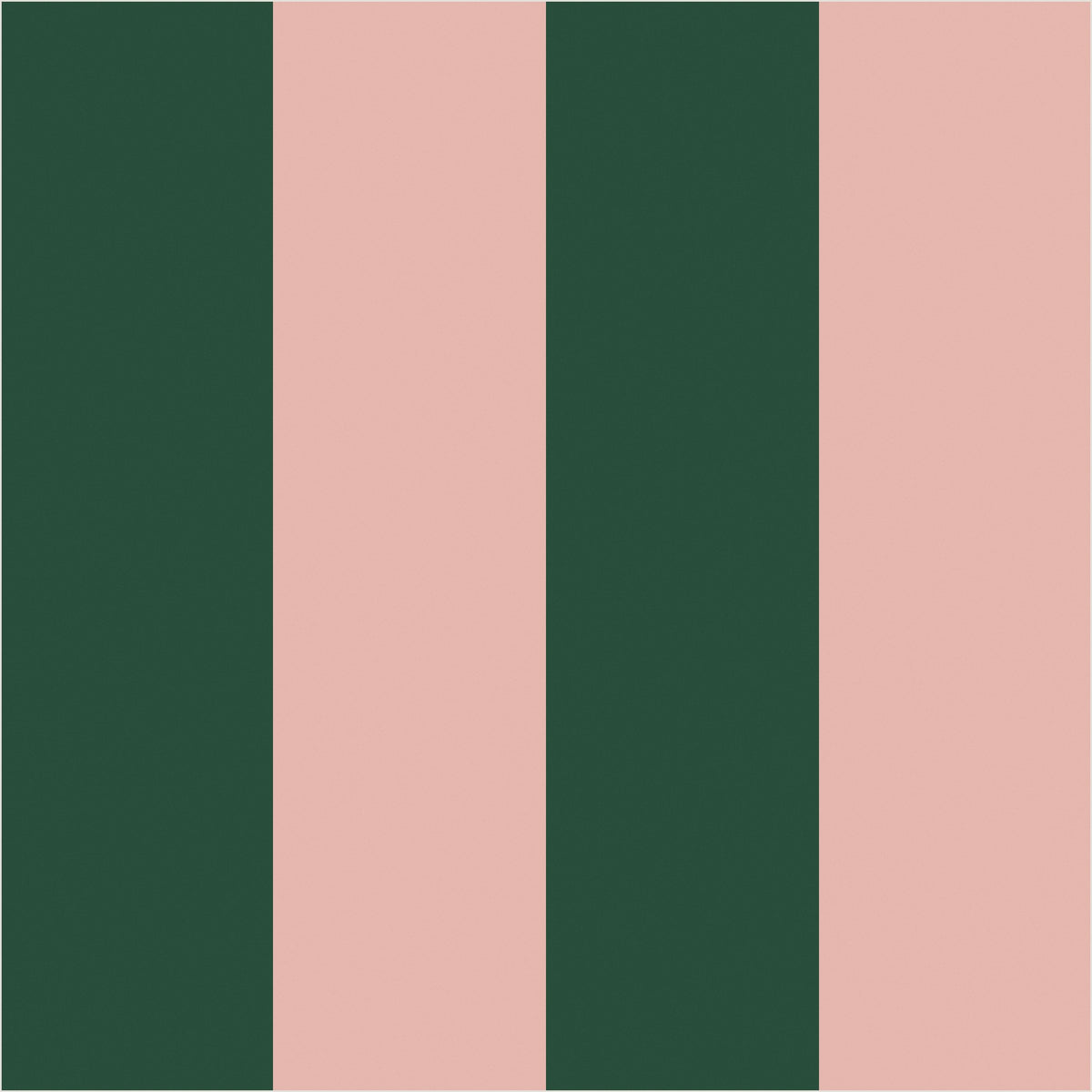 Warm Blush & Forest Green wide stripe wallpaper, true-scale 62 cm swatch